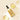 Collagen & Luxury Gold Anti-Wrinkle Ampoule - My Store 